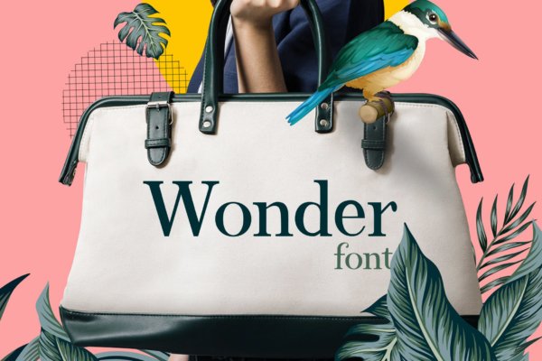 现代优雅杂志海报标识设计衬线英文字体 Wonder