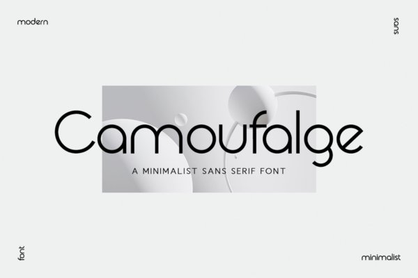 优雅杂志标识广告设计无衬线英文字体Camaufalge Modern Minimalism Font