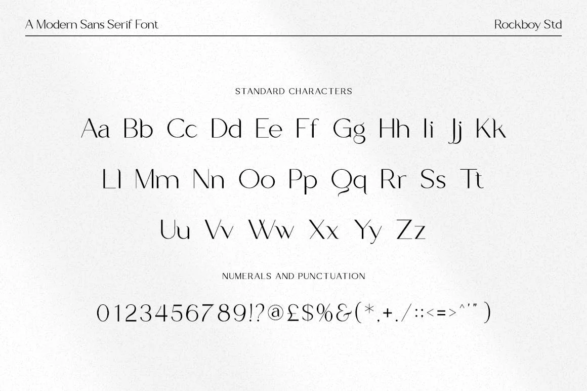 时尚优雅杂志广告标识设计无衬线英文字体 Delirious – Business Font插图9