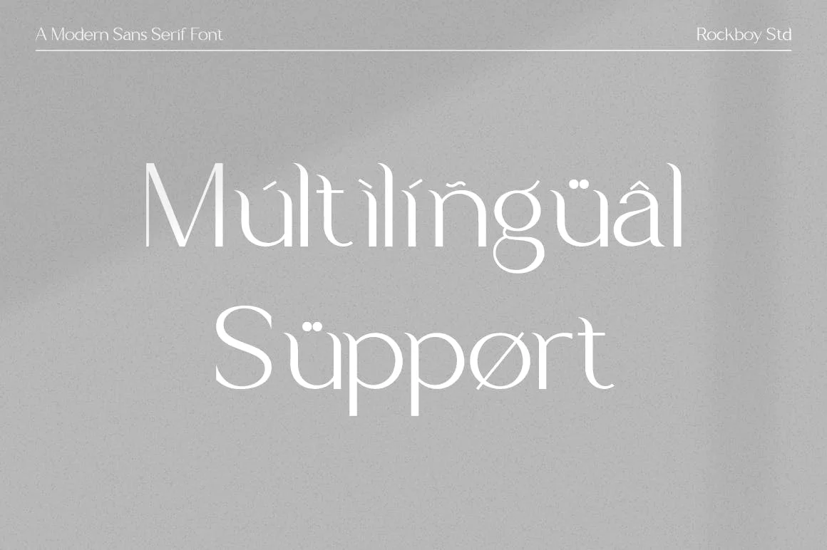 时尚优雅杂志广告标识设计无衬线英文字体 Delirious – Business Font插图10