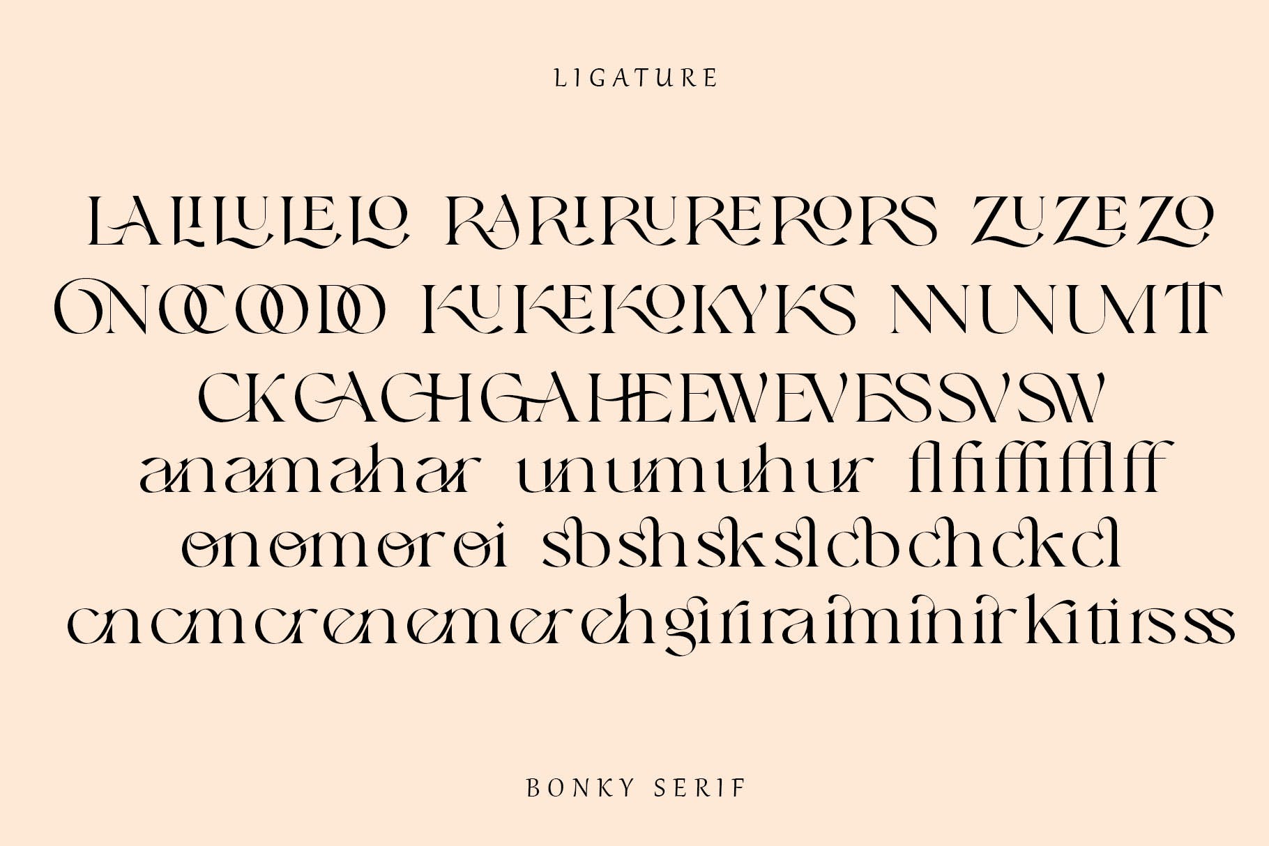 优雅品牌标题徽标logo设计衬线英文字体 Bonky serif插图12 优雅品牌标题徽标logo设计衬线英文字体 Bonky serif插图12