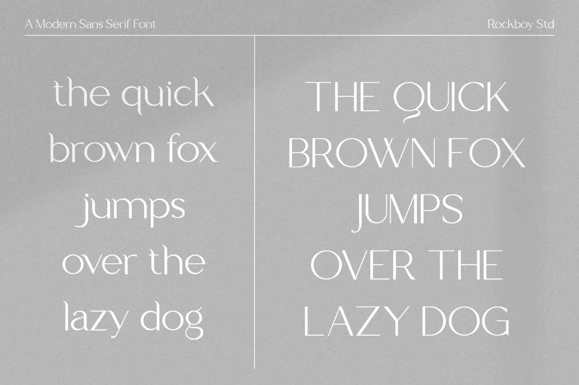 时尚优雅杂志广告标识设计无衬线英文字体 Delirious – Business Font插图8