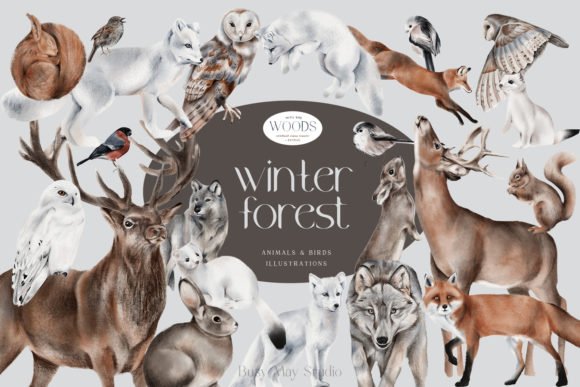 冬季圣诞节元素动物鸟类手绘剪贴画PNG免扣图片素材 Winter Forest Animals and Birds PNG