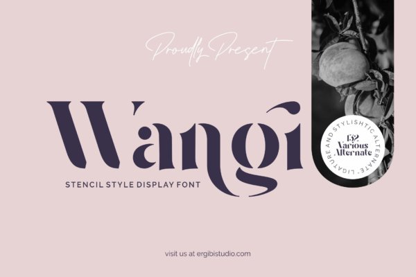 时尚杂志包装标志设计无衬线英文字体 Wangi