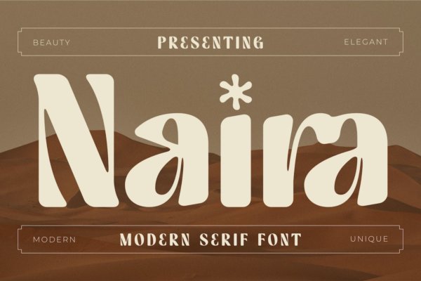 现代奢华品牌包装徽标logo设计衬线英文字体 Naira Font