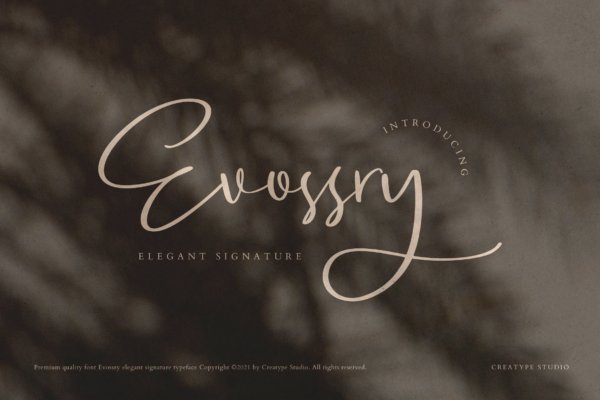 优雅品牌包装徽标logo设计手写英文字体 Evossry Signature Business Font