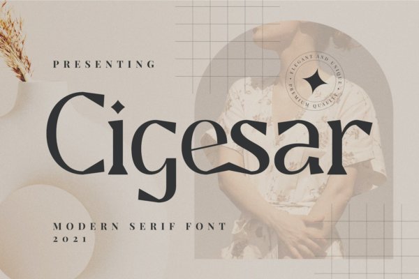 现代优雅品牌标签徽标logo设计衬线英文字体 Cigesar Font