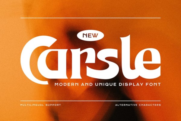 现代时尚品牌包装徽标logo设计衬线英文字体 Carsle