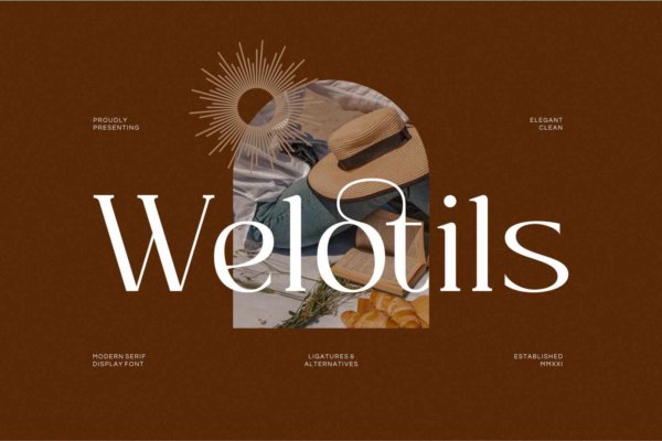 现代品牌包装徽标logo设计衬线英文字体 Welotils