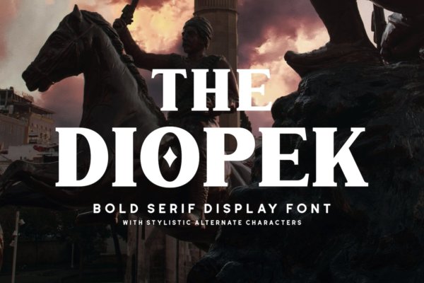 优雅品牌广告徽标logo设计衬线英文字体 The Diopek