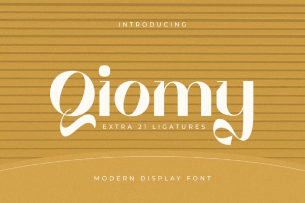 现代优雅品牌海报标识设计衬线英文字体 Qiomy – Modern Display Font