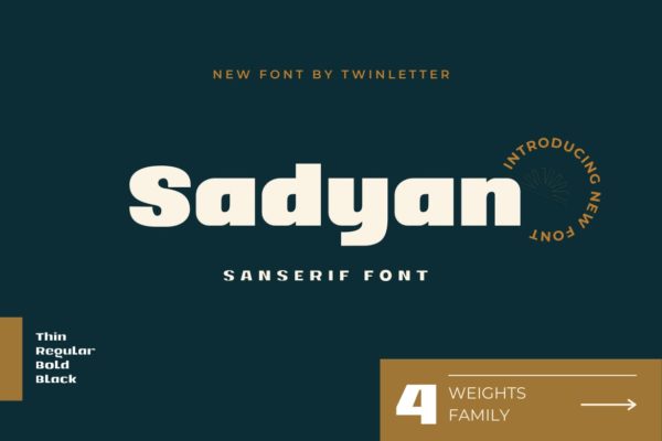 现代复古杂志海报徽标logo设计无衬线英文字体 Sadyan