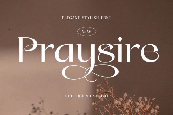 时尚杂志包装徽标logo设计无衬线英文字体 Praysire