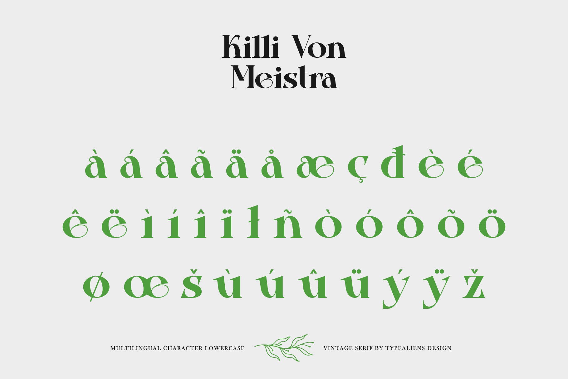 复古杂志社交媒体海报设计衬线英文字体 Killi Von Meistra插图9