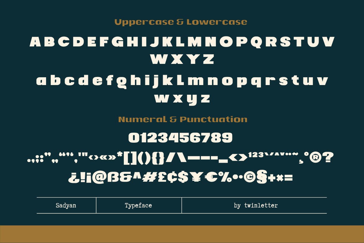 现代复古杂志海报徽标logo设计无衬线英文字体 Sadyan插图11