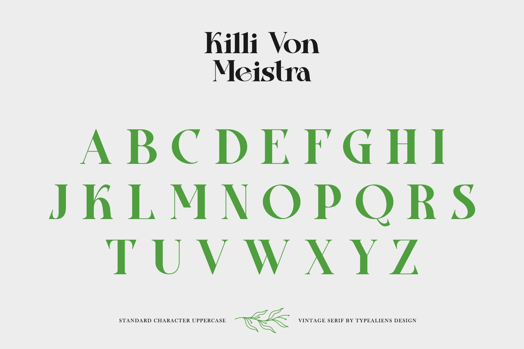 复古杂志社交媒体海报设计衬线英文字体 Killi Von Meistra插图5