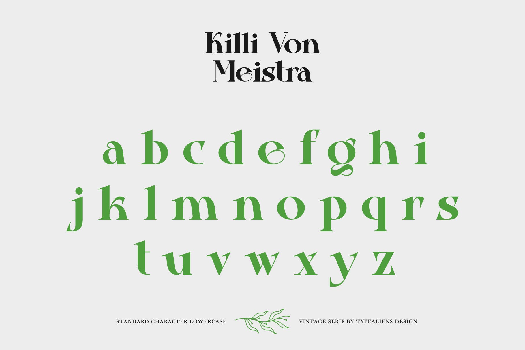 复古杂志社交媒体海报设计衬线英文字体 Killi Von Meistra插图6