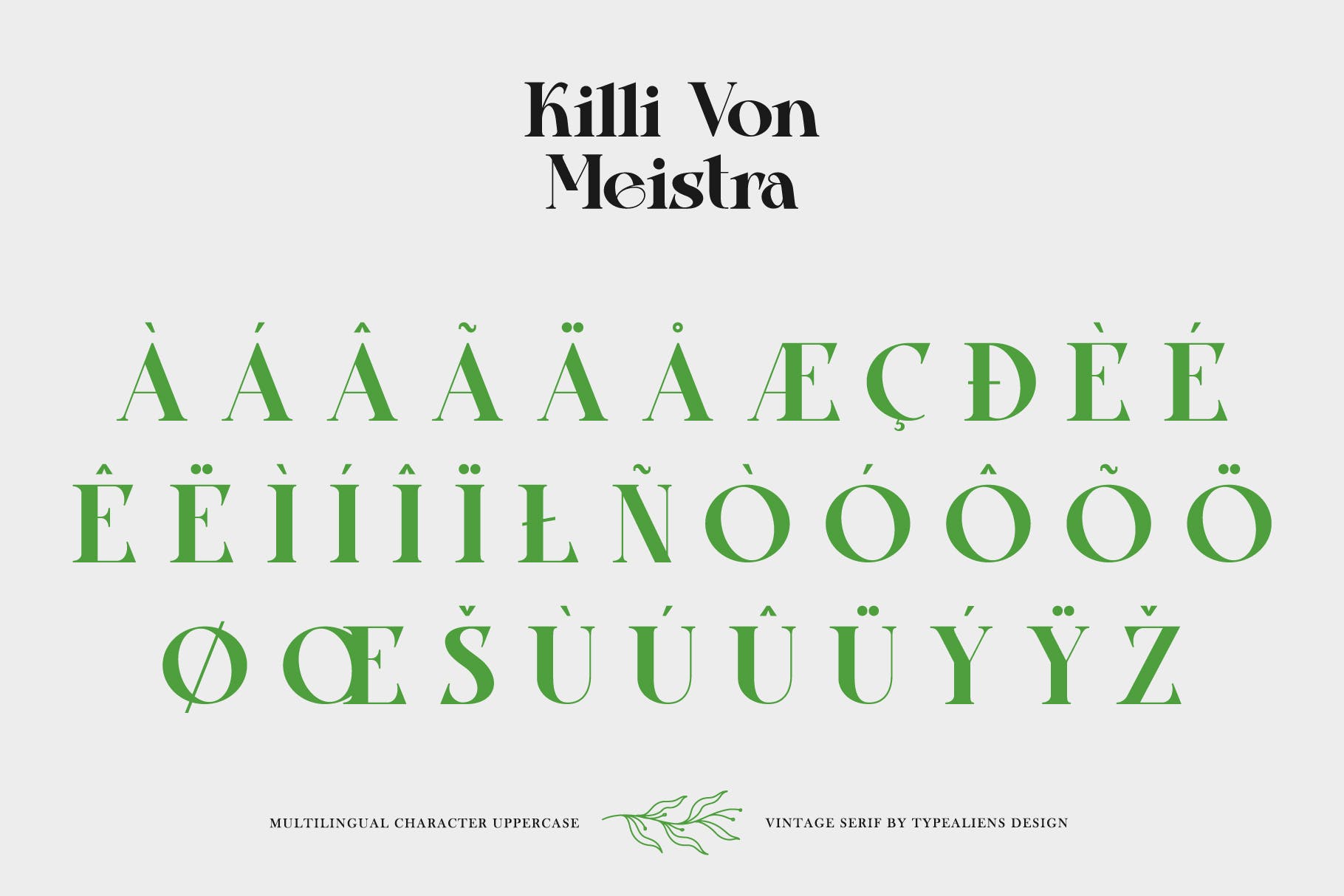 复古杂志社交媒体海报设计衬线英文字体 Killi Von Meistra插图8