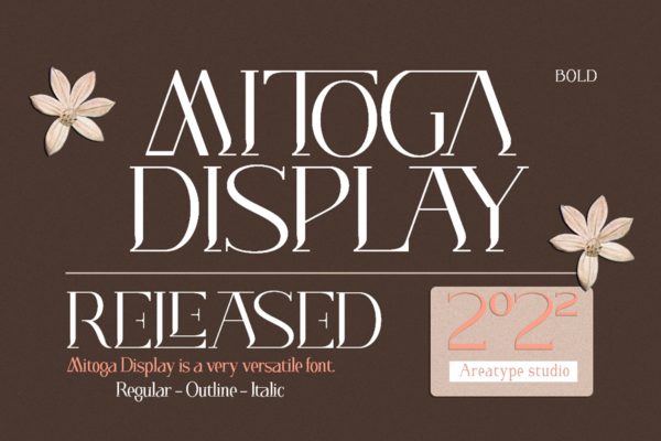 优雅杂志品牌海报设计衬线英文字体 Mitoga display