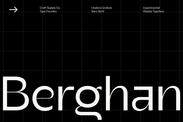 现代复古品牌婚礼标识设计无衬线英文字体 Berghan – Modern Grotesk