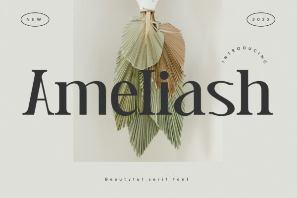 优雅杂志海报标志设计衬线英文字体 Ameliash