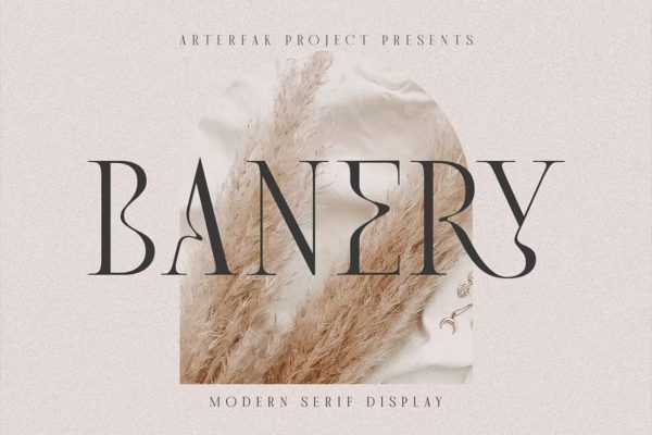 现代杂志海报徽标logo设计衬线英文字体 Banery – Modern Serif