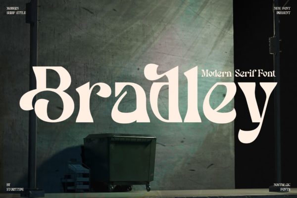 现代时尚品牌海报徽标logo设计衬线英文字体 Bradley Modern Serif Font