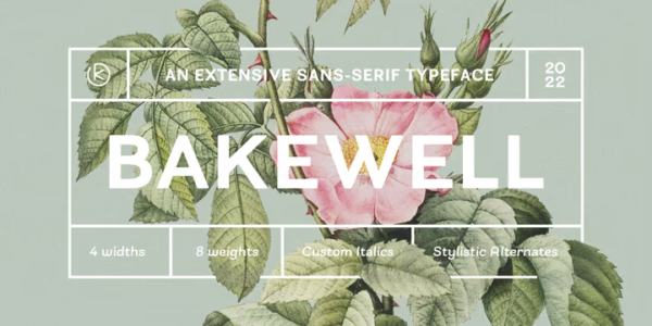 现代品牌杂志标识设计无衬线英文字体 Bakewell Font Family