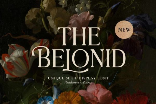 优雅奢华杂志海报标签设计衬线英文字体 The Belonid – Cool Serif Fonts