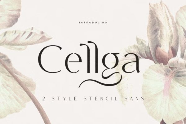 优雅复古杂志海报徽标logo设计无衬线英文字体 Cellga Typeface