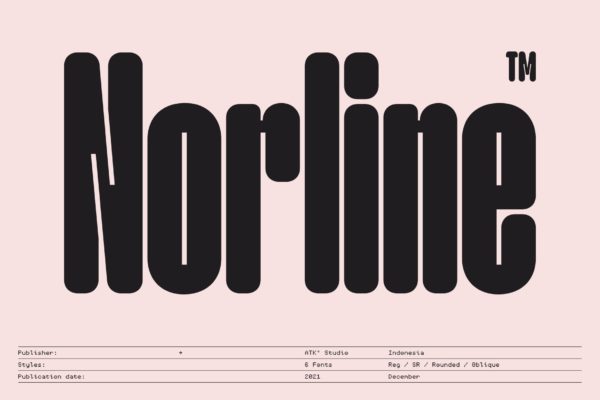 现代优雅压缩圆角标题logo设计无衬线英文字体安装包 Norline – Font Family