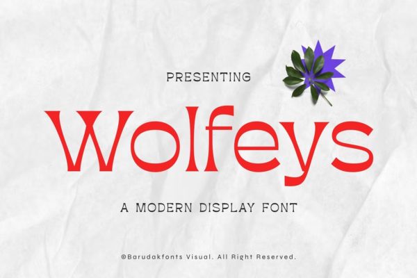 现代杂志贴纸徽标logo设计无衬线英文字体 Wolfeys – Thin Sans Serif Display Font