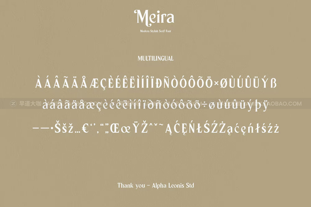 现代优雅品牌海报邀请函设计衬线英文字体 Meira Font插图6