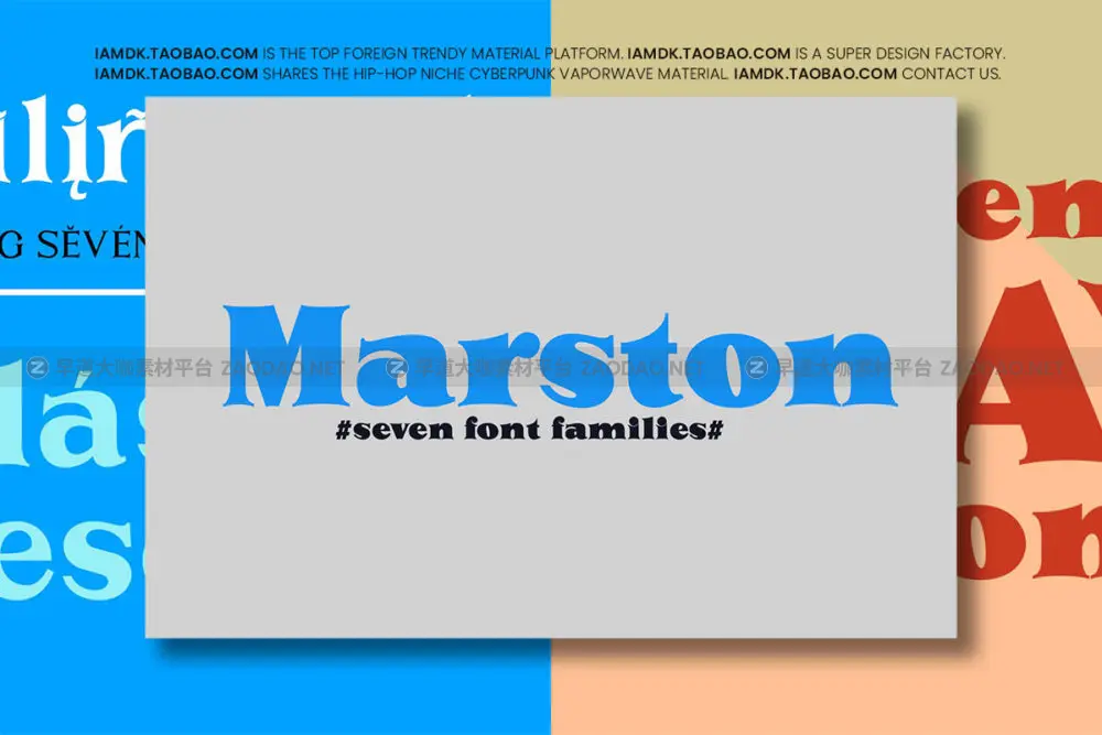 时尚优雅逆反差标题logo设计衬线英文字体安装包素材 Marston Font Family插图