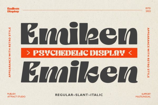 现代时尚酸性逆反差包装海报标题logo设计衬线英文字体家族 Emiken Font Family