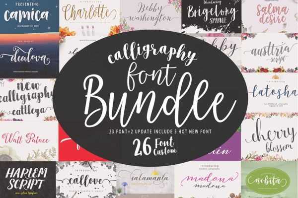 26套可爱手绘手写签名英文字体安装包素材 Font Bundle Caligraphy