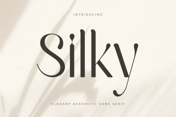 优雅奢华品牌海报标识设计无衬线英文字体 Silky – Elegant Aesthetic Sans Serif