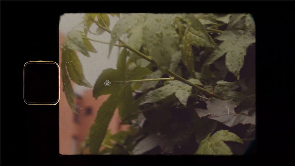 80年代复古超级8mm模拟胶片覆盖叠加视频特效素材包 NEW PACK SUPER 8mm FILM插图4