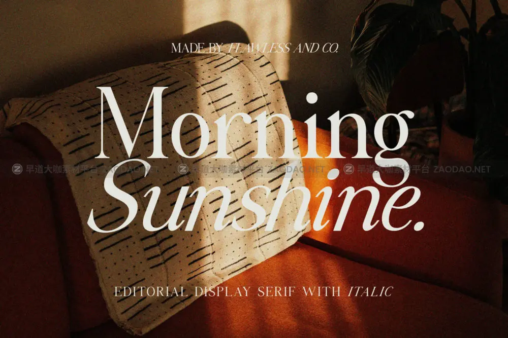 现代优雅复古女性化杂志海报标题品牌logo设计衬线英文字体安装包 Morning Sunshine // Editorial Serif插图