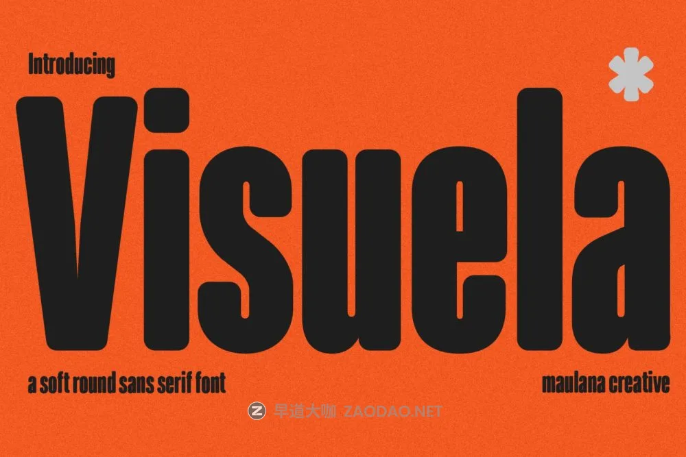 现代极简柔软圆角书籍电影标题logo设计粗体英文字体安装包 Visuela Sans Display Font插图 现代极简柔软圆角书籍电影标题logo设计粗体英文字体安装包 Visuela Sans Display Font插图