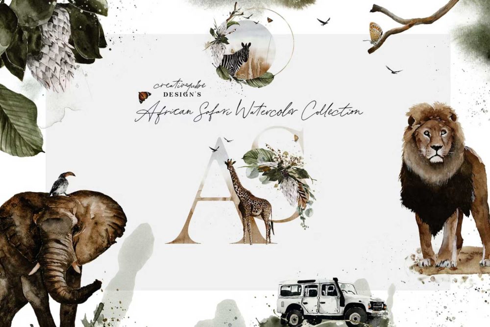 非洲野生动物花卉字母手绘水彩插画png免抠图设计素材 African Safari Watercolor Collection插图