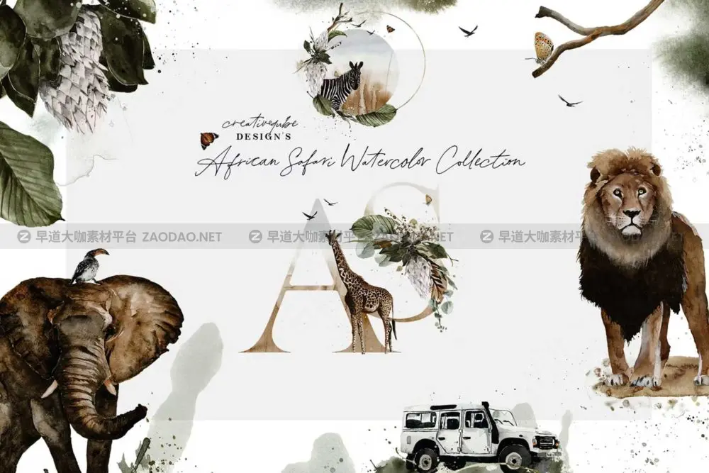 非洲野生动物花卉字母手绘水彩插画png免抠图设计素材 African Safari Watercolor Collection插图