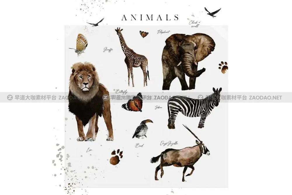 非洲野生动物花卉字母手绘水彩插画png免抠图设计素材 African Safari Watercolor Collection插图5