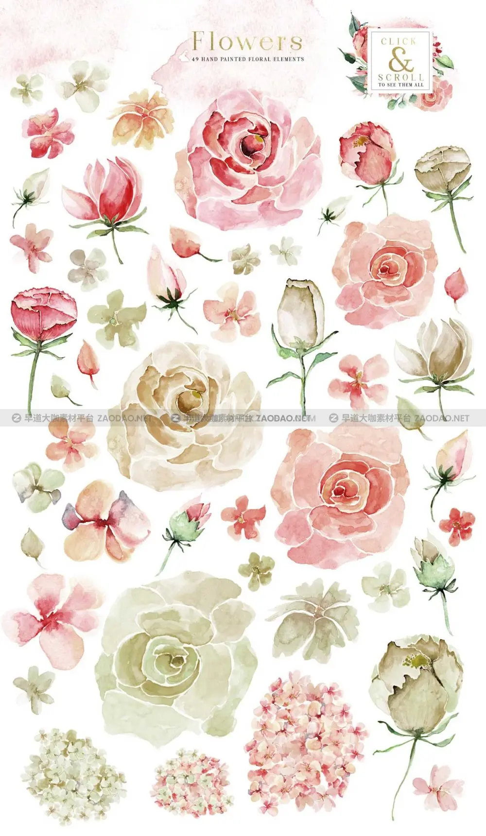 优雅婚礼玫瑰花卉花圈树叶手绘水彩剪贴画png免抠图设计素材 Creme & Rose Watercolor Set插图2