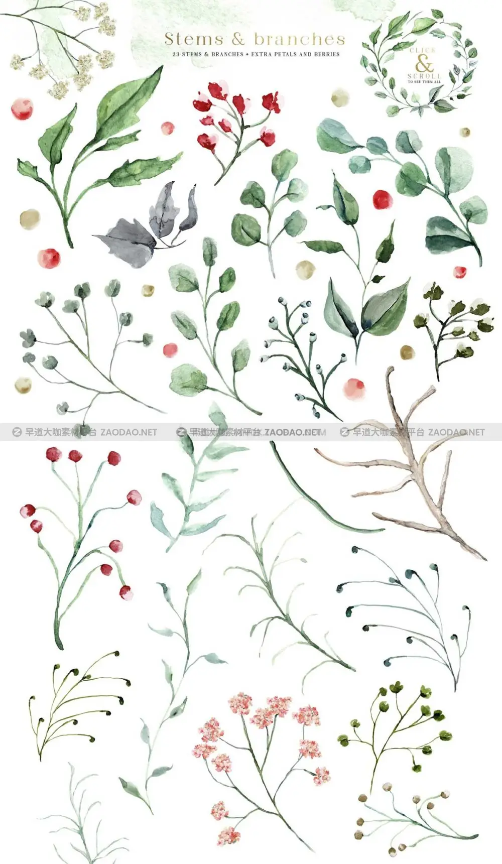 优雅婚礼玫瑰花卉花圈树叶手绘水彩剪贴画png免抠图设计素材 Creme & Rose Watercolor Set插图8
