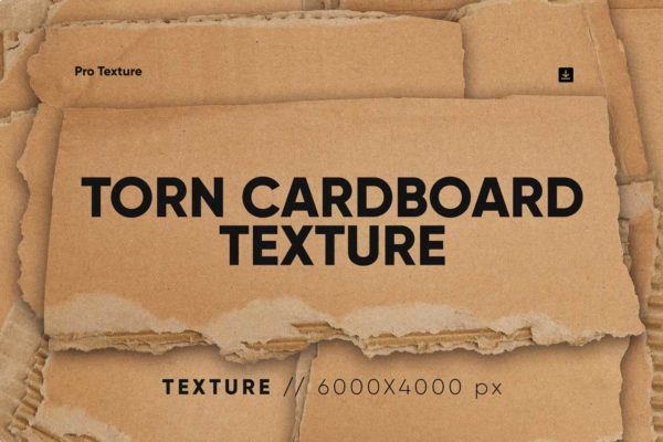 20个毛边撕裂牛皮纸瓦楞纸纸片纸板png免抠图设计素材 20 Torn Cardboard Textures