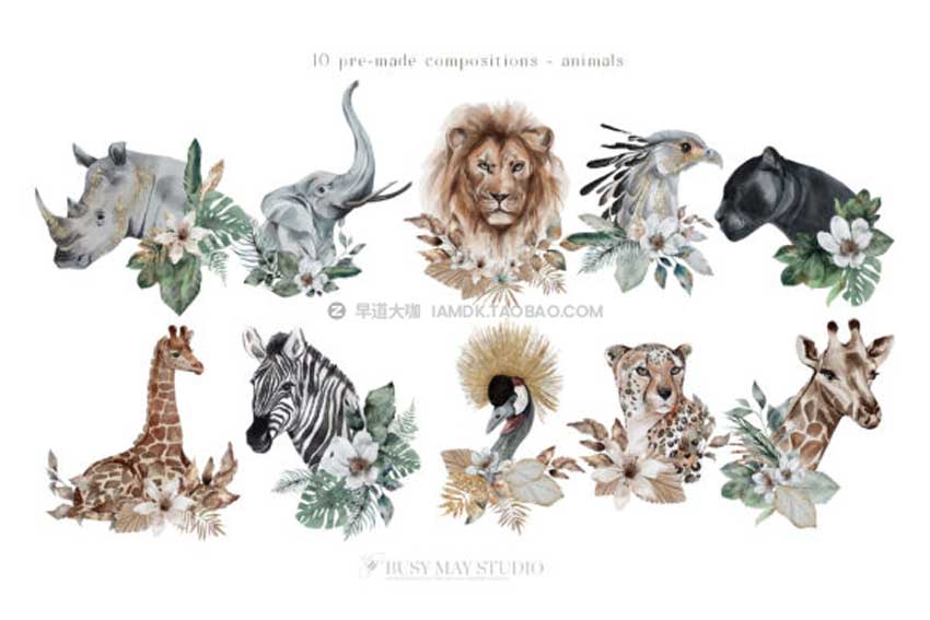 200+热带非洲野生动物花卉植物鸟类手绘水彩插画PNG免抠图设计素材 Modern Tropical Huge Collection插图7