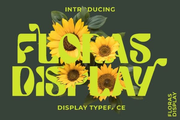 60年代复古逆反差海报专辑封面标题设计装饰英文字体 Floras Display – Display Font