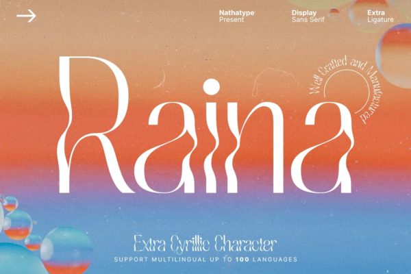 时尚潮流复古酸性逆反差扭曲潮牌海报标题装饰艺术英文字体 Raina Sans Serif Font