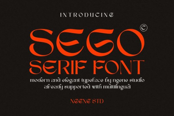复古优雅酸性逆反差杂志海报排版徽标logo设计英文字体安装包 Sego Serif Font